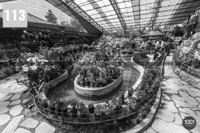 India - Kalimpong - Amazing India - Eastern Delight in Darjeeling and surroundings❗ - 5