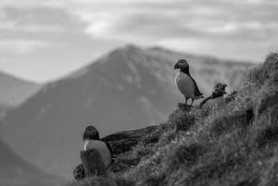 Northern Europe - Lofoten - Breath-taking Lapland Safari for a week in the Lands of the Midnight in Northern Europe - 5