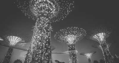 Singapore - Gardens by the Bay - Singapore like a local: Street Food, Tropical Islands and Crazy Nightlife!