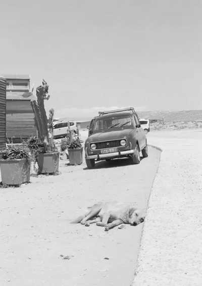 Morocco - Taghazout - A Ten Day Adventure through Morocco 🇲🇦 - 3