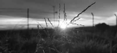 Indien - Nongkhnum Island Beach - Rejuvenate in the Clouds: ABODE MEGHALAYA's Fusion of Culinary Delights and Adventures! - 9