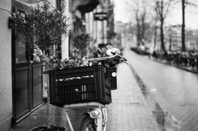 Western Europe - Amsterdam - Winter in Europe, 5 Countries, 11 Cities - France, Belgium, Luxembourg, Netherland, Germany☃️ - 1