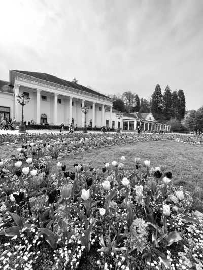 Germany - Baden-Baden - Exclusive ladies road trip - Explore Black Forest Area and Heidelberg with a Local - Ensuite Shared Double Rooms - 1