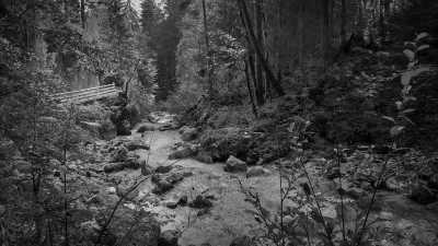 Germany - Zauberwald - A Magical Experience | Hiking & camping in German Alps | Walkshop Light | Berchtesgadener Land | Königsee | 5 days - 3