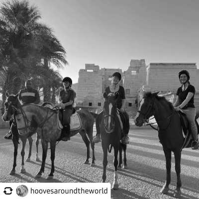 Ägypten - Luxor International Airport - Egypt: Horse Riding Adventures in Luxor - 1