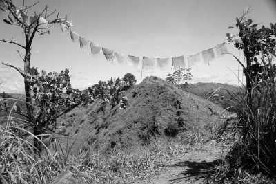 Sri Lanka - Ella - Kurztrip nach Ella, Sri Lanka - Udawalawa Nationalpark, Little Sigiriya und Mehr! - 3