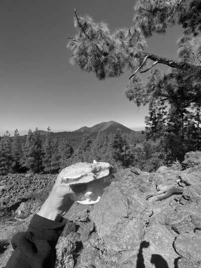 Spain - Reserva natural especial del Chinyero - 🏄🏽‍♂️  Surf I Hike & Beach - Come to Canarias and escape winter! 🌴☀️🧘🏼‍♂️ - 4