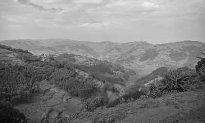 Uganda - Bwindi Impenetrable Forest - Uganda: 🦍 Hike to wild Mountain Gorillas, 🦏 Track Rhinos, 🌅 Lake Victoria cruise, White water rafting, Stand on the equator line & visit Entebbe, Kampala & Jinja towns - 2