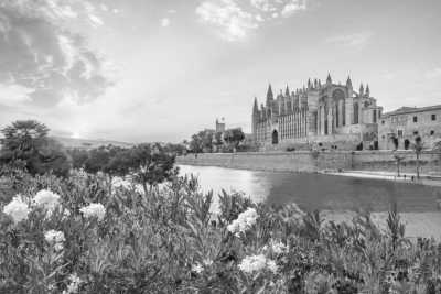 Spanien - Palma - Coworking Retreat in Beachside of Mallorca : Stunning Views, walking distance to the Beach, Splendid Location!