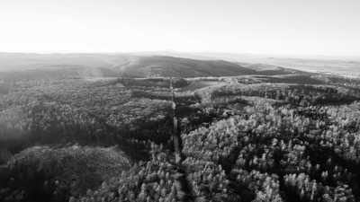 Hungary - Bugacpusztaháza - Rural Roadtrip - Winter Hungary - Culture, Nature, Wildlife - Christmas