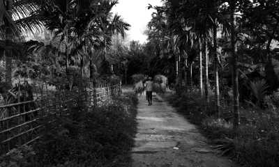 India - Swaraj Dweep - Explore Andaman Archipelago 🌊 A summer beach vacation 🏖️ scuba diving in the pristine marine ecosystem 🤿 explore islands unique wildlife wonders & activities 🐾 sunrise & sunsets - 2