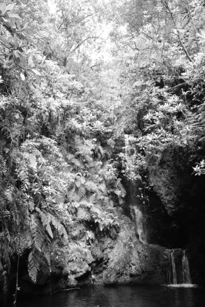 Portugal - Ponta Delgada - Madeira  SPECIAL ADVENTURE - off the beaten path