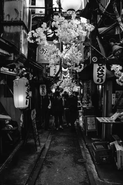 Japan - Shinjuku City - 🇯🇵Japan Trip To The Future :Food, Culture, Snow & Wildlife - 1