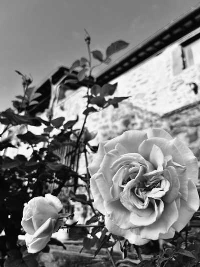 Italien - Bed & Breakfast Antico Casale - Castel Giorgio (Terni) - Weekend Tuscany’s Val d'Orcia Experience: Nature, Mindfulness, and Rustic Charm!