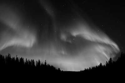 Sweden - Jokkmokk - Dog Sledding, Northern Lights, Snowmobile Experience In Swedish Lapland - All Inclusive - 11