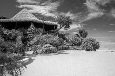 Oceania - Aitutaki - 🌟 New Zealand + 8 Days Boat Safari Whale Tour in the Cook Islands 🌊🐋 - 2