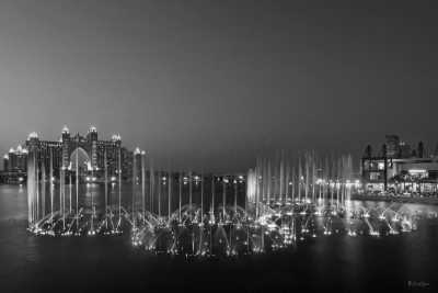 United Arab Emirates - Dubai - Exploring the pure lifestyle in Dubai 🇦🇪 - 7