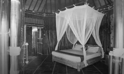 Indonesien - Ujung Kulon National Park - Explore Ujung Kulon National Park Wildlife and The Local Culture of the Baduy Tribe, Indonesia - 5