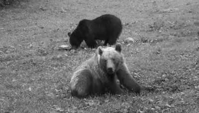 Romania - Lupeni - Transylvanian Expedition Chapter One: Step into The Legends of Transylvania - 3