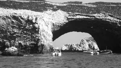 Peru - Paracas - Peru Unbound: Explore the Magic of South America! - 3