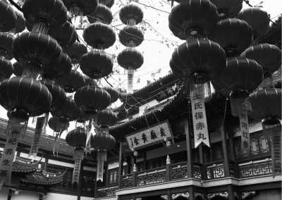 China - Shanghai - Shanghai and Suzhou Exploration: 4-Day Enchanting Journey in China - 3