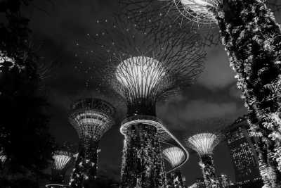 Singapore - SkyPark Observation Deck - Let‘s explore Singapore! Sentosa Island, Gardens by The Bay and More