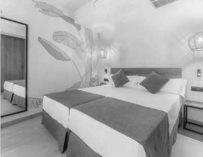 Spain - Puerto de la Cruz - Exclusive One week Island Life 🌴 Eco Whale Watching, volcanic hikes, banana plantations 🍌 and Black Sand Beach. - 4