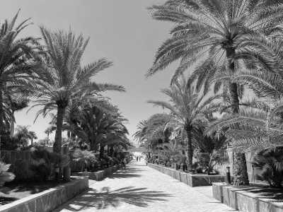 Spanien - Maspalomas - 🌅Co-Working Trip in Gran Canaria – Oct 5th to 12th, 2025 🎶 - 2