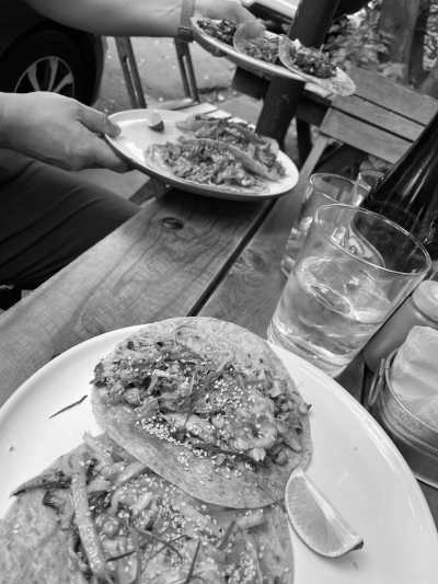 Mexico - Xochimilco - Mexico City: Monarch Migration Expedition - 7