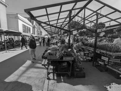 Northern Europe - Riga - Discover the Baltic States: Tallinn, Riga, Vilnius and Much More! - 2