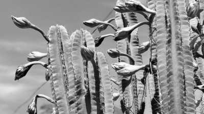 Cambodia - Chi Phat - Natural Cambodia - 🐾 a trip that no one has ever taken ⚡ (Angkor temples, capital, jungles and relax at the Island are included!) - 7