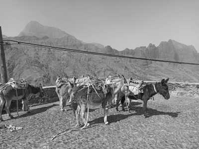 Cabo Verde - Santo Antão - Co-Living and Co-Working while Experiencing Cabo Verde with a local - Northern islands - 4