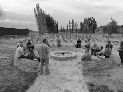 South Africa - Sutherland - Last Minute am Kap: Das Kap, der Wein, gutes Essen und der Rooibos - 3