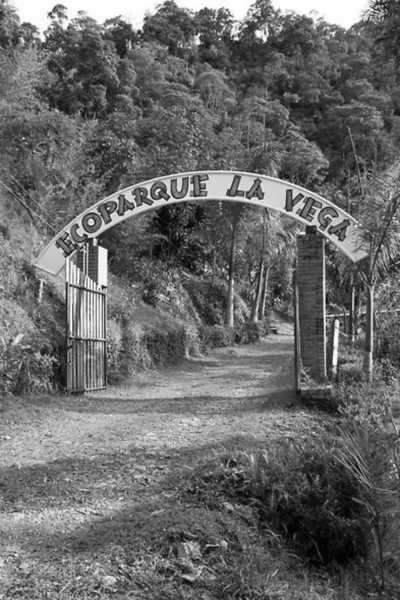 Kolumbien - San Francisco - Experience Glamping, Hiking, Horse Riding, and Cultural Delights: Discover San Francisco-Cundinamarca and Bogotá, Colombia - 9