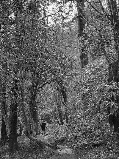 Nepal - Makalu Rural Municipality, Sankhuwasabha - Makalu Base Camp Trek: Journey to the Fifth Highest Peak - 2