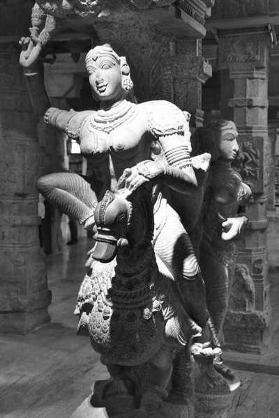 India - Madurai - Ancient South India: Experience the Exotic Ancient Temples and Enticing Hills of Tamilnadu - 7