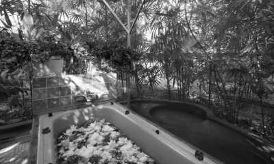 Sri Lanka - Chandra Villa Ayurveda Resort - Escape to Sri Lanka - Ayurveda Spa Retreat, Yoga & Meditation - 4