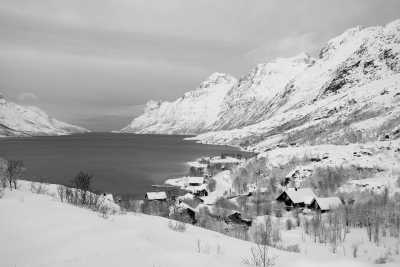 Northern Europe - Longyearbyen - Travel to artic circle, Chasing the Arctic Magic: A 7-Day Tromsø- Spitzbergen Adventure