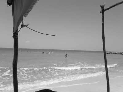 Colombia - San Antero - Experience the Paradise of Colombia's Caribbean Coast on a Remarkable 30-Day Working Trip: Tolú, Playa El Francés, Coveñas, Isla Palma, Ciénaga la Caimanera and Cistapá Cay - 7