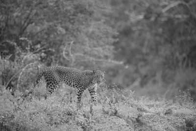 Sri Lanka - Tissamaharama - Tropical Roundtrips: Discovering Sri Lanka's Wonders - 8