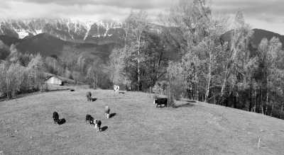 Rumänien - Bistrița - Transylvania with Bram Stoker's great-grandnephew, Dacre Stoker - 3