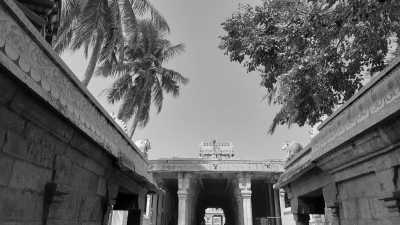 India - Tiruchirappalli - Ancient South India: Experience the Exotic Ancient Temples and Enticing Hills of Tamilnadu - 37