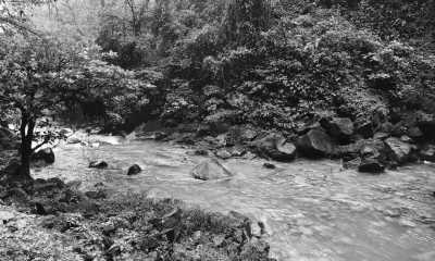 Costa Rica - Parque Nacional Volcán Tenorio - Majestic Adventures in Costa Rica: Beaches, Volcanoes, Hot Springs, Cloud Forest, and Pura Vida Lifestyle! - 2