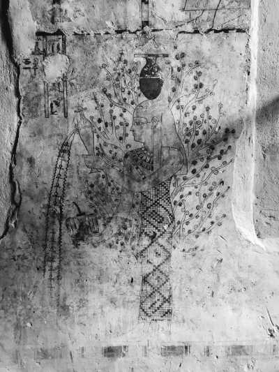 Ägypten - Siwa Oasis - The Pyramids and beyond: from Cairo to remote Siwa oasis in the Western Desert - 14