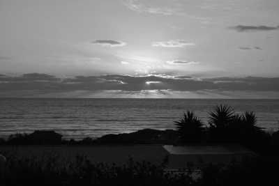 South Africa - Cape Town - Cape Town and the Garden Route 🇿🇦 Explore South Africa with a Local - 1