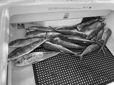 Southern Europe - Budva - Visit Bosnian Pyramids, Walk Through The Ancient Underground Tunnels And Do The Fishing Trip In Montenegro - 2