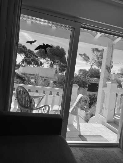 Spain - Ibiza - Urlaub auf Ibiza - in einem süßen Bungalow (EINZELZIMMER) direkt am Meer! - 6