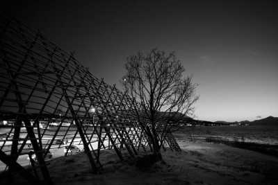 Norwegen - Tromsø - Bring 2025 Under the Northern Lights in Tromsø, Norway - 2