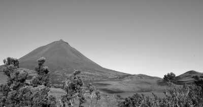 Portugal - Lajes do Pico - Azores - meet biggest whales & wild dolphins in their natural habitat  🐋