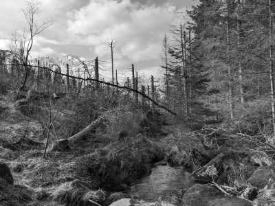Germany - Bad Harzburg - Wanderzeit im Harz mit Brocken-Tour, Deutschland - 2